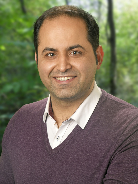Mohammad Bashirizadeh