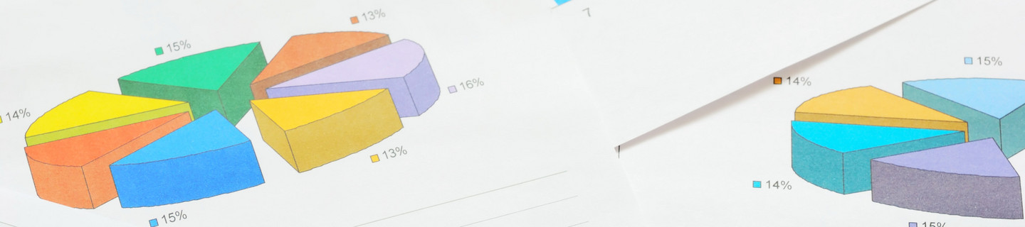 Colorful pie charts and bar graphs and a graph in detail on different pages, one above the other. 