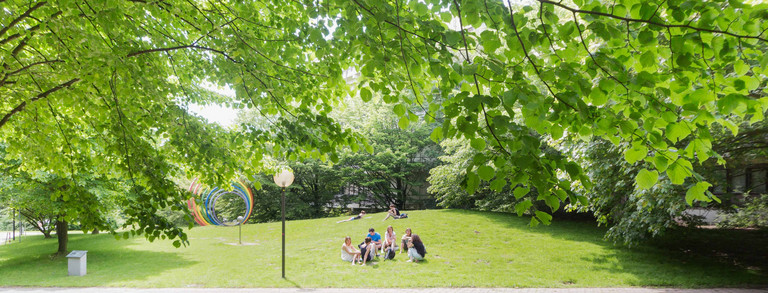 Studierende auf einer Wiese Studierende auf der Wiese mit den Spektralringen im Hintergrund im Sommer